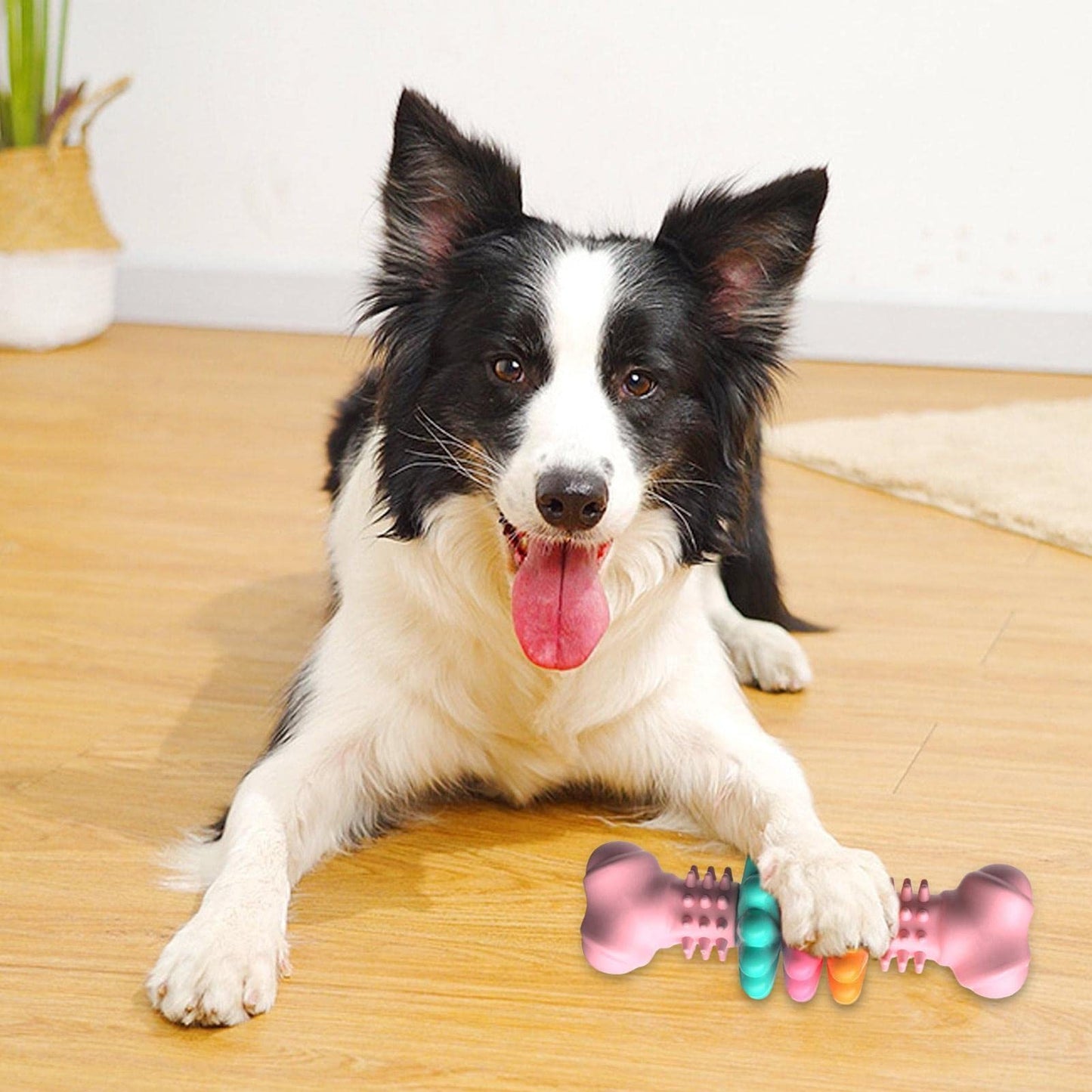Durable TPR Dog Bone – Chew & Dental Cleaning Toy