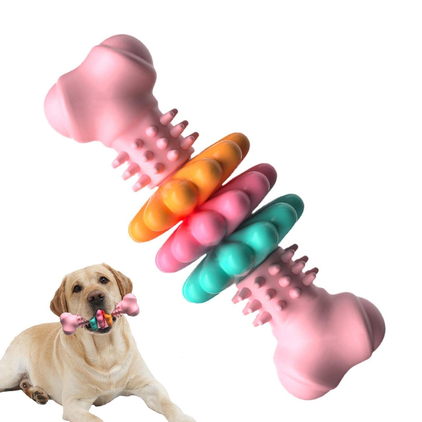 Durable TPR Dog Bone – Chew & Dental Cleaning Toy