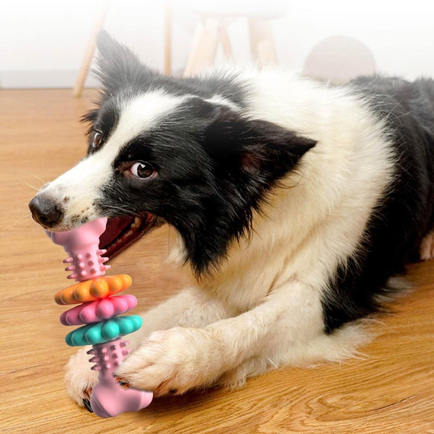 Durable TPR Dog Bone – Chew & Dental Cleaning Toy